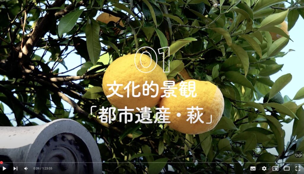 「萩の文化的景観とエコミュージアム-1：文化的景観としての価値」（31分）
日本語ナレーション／日本語字幕版