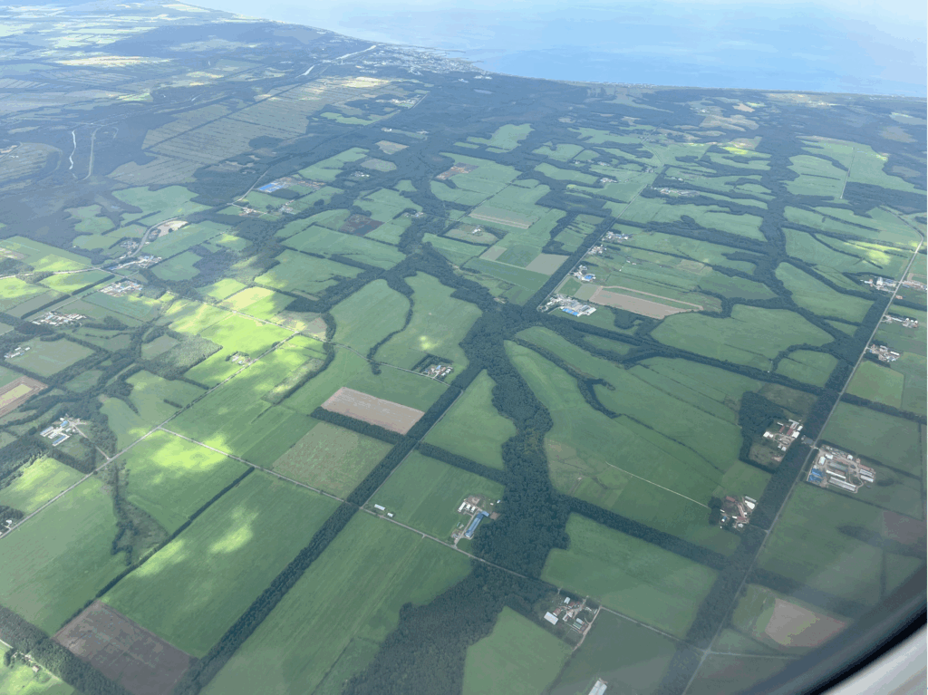 幾何学的な格子状防風林と有機的な河畔林が独特の美しい景観を生み出しています （撮影：西山徳明）