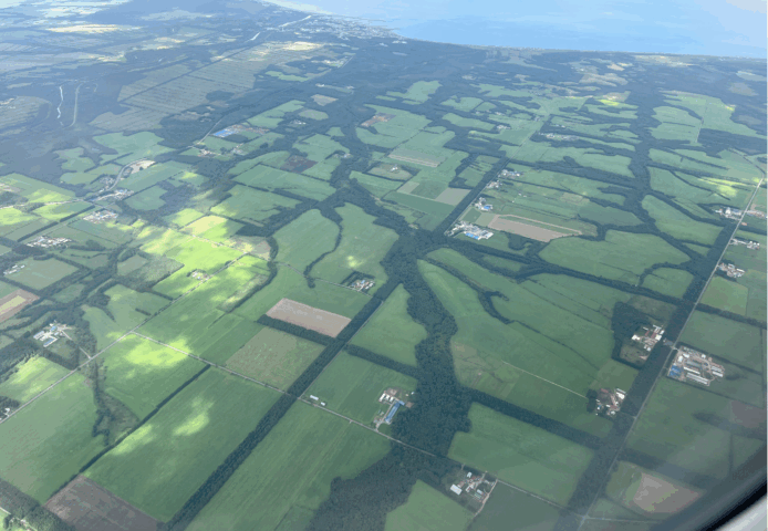 幾何学的な格子状防風林と有機的な河畔林が独特の美しい景観を生み出しています （撮影：西山徳明）